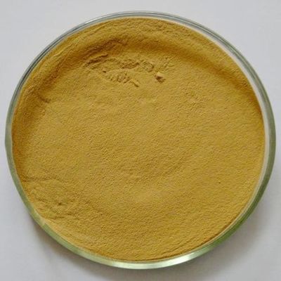 Biidrato naturale cascer 95% di Quercetine dell'estratto di sophora japonica di GMP