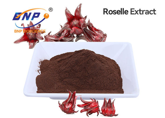 Polvere rossa di Roselle Extract Anthocyanins Brown