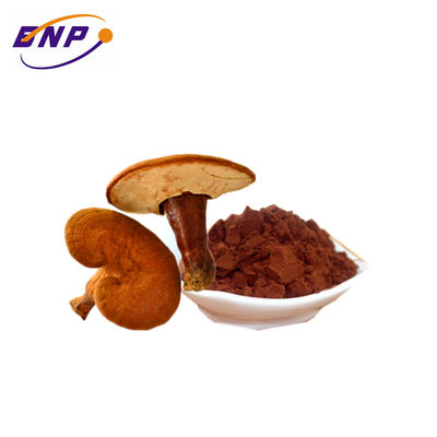 Polisaccaride naturale 10%-50% della polvere dell'estratto del fungo del Brasile del rifornimento