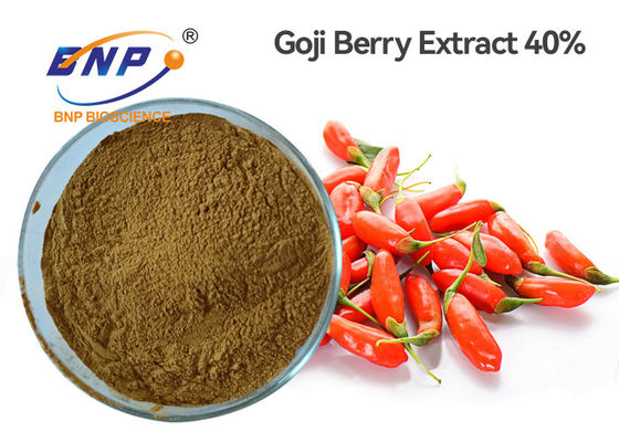 Polvere solvente di Barbarum del Lycium del polisaccaride di Goji Berry Extract 40% dell'acqua