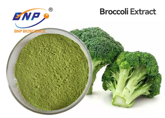 I broccoli organici verde chiaro germogliano la maglia del commestibile della polvere 80