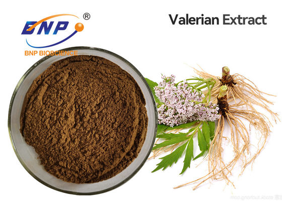 Rifornimento 100% Valerian Extract acido valerianico naturale della fabbrica
