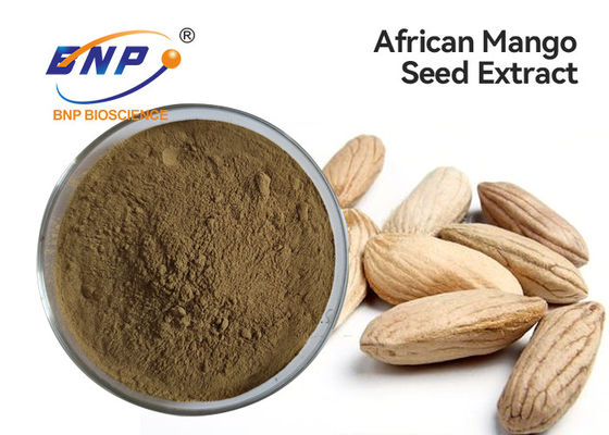 La pianta naturale dei flavoni 10% estrae la polvere africana gialla del seme del mango di Brown