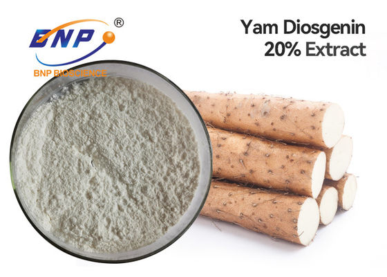Estratti naturali Yam Root Powder selvaggio candido della pianta di diosgenina 6%