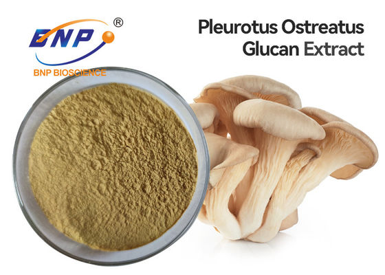 Polisaccaride 10% di supplemento dell'estratto del fungo di ostrica di pleurotus ostreatus