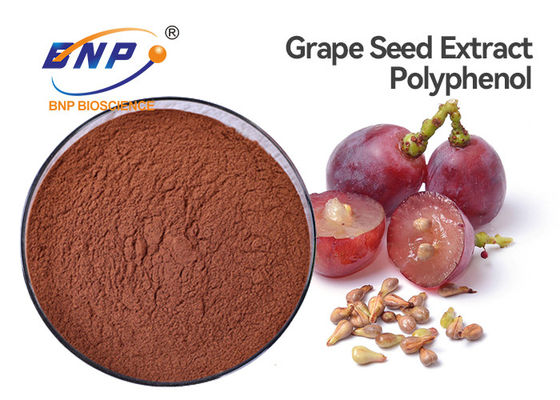 Polifenolo antiossidante 70% di supplemento dell'estratto del seme dell'uva