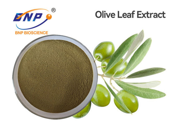 La pianta naturale gialla di Brown di HPLC estrae l'oleuropeina 60% Olive Leaf Extract Powder