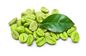 Commestibile verde di Bean Extract Chlorogenic Acid 50% del caffè