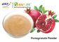 Melograno organico rosa-chiaro Juice Powder 40 Mesh Punica Granatum Fruit Extract