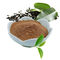 Polifenoli del tè dell'estratto del tè verde 20%-98% Brown, polvere bianca