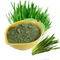 Erba di orzo verde del triticum aestivum di supplemento della polvere dell'ortaggio da frutto Juice Powder