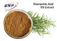 Alta qualità Rosemary Extract di GMP con 5% Carnosic acido e Carnosol