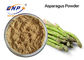 L'asparagus officinalis verde di supplemento della polvere dell'ortaggio da frutto stacca l'estratto dal gambo