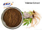 Rifornimento 100% Valerian Extract acido valerianico naturale della fabbrica