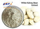 Perdita nutrizionale di Bean Phaseolamin Extract White Weight del rene di supplementi