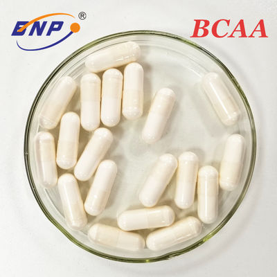 Il supplemento BCAA del vegano si è ramificato capsula a catena dell'aminoacido