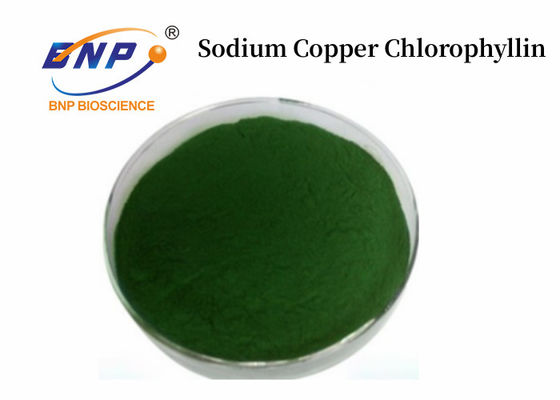 Sodio Rame Clorofillina Clorofilla98% 90% 70% 50% Verde scuro Polvere di alta qualità