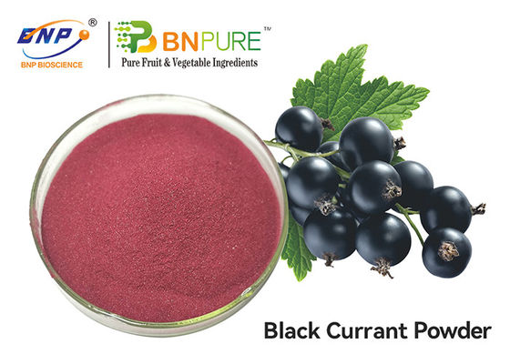 Estratto rosso porpora della frutta di Juice Powder Food Grade Ribes Nigrum del ribes nero