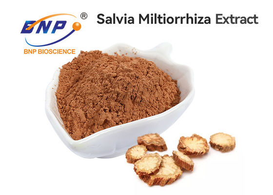 Fabbrica superiore del BNP di Salvia Root Extract From