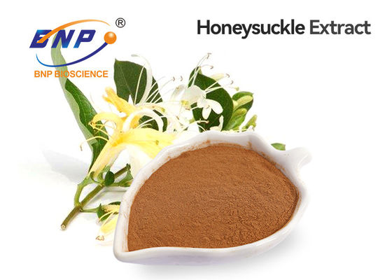 GMP Honeysuckle Flower Extract Chlorogenic Acid 5%-98%