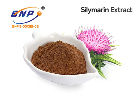 L'estratto di silimarina di silimarina di 30% Silybin 80% spolverizza l'estratto del cardo selvatico di latte di GMP per fegato