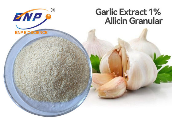 L'estratto dell'aglio di 1% Allicin spolverizza granulare