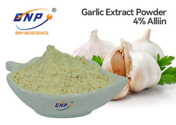 L'estratto inodoro dell'aglio di GMP spolverizza la marca del BNP di 4% Allicin