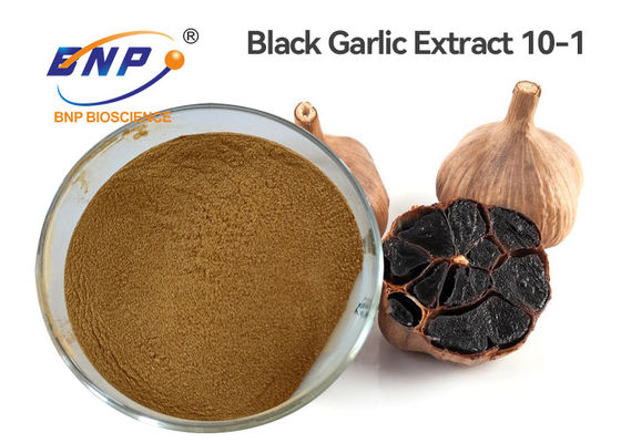 Polisaccaride fine dell'estratto 10-1 dell'aglio del nero della polvere di Brown