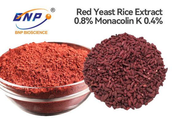 Il monascus purpureus rosso del riso del lievito del BNP estrae 0,4% Monacolin-K