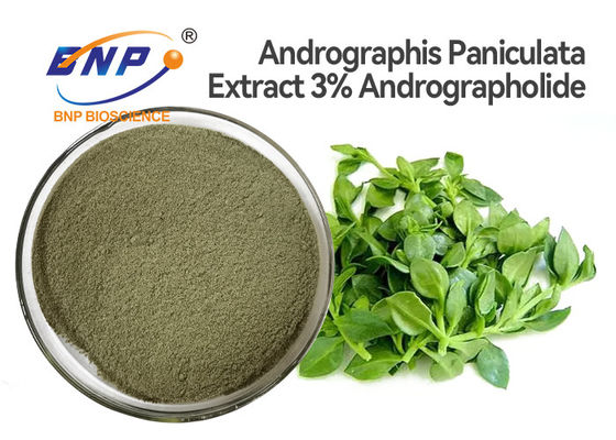 Polvere antivirale naturale dell'estratto della foglia di Andrographis Paniculata di supplementi di 3% Andrographolide