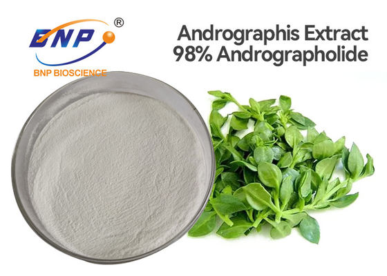L'estratto della foglia di iso Andrographis Paniculata spolverizza 98% Andrographolide