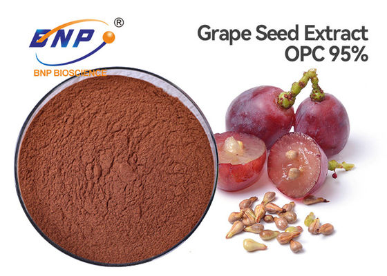 Nigra L. del Sambucus dei polifenoli 70% della polvere dell'estratto della pelle dell'uva di HPLC.