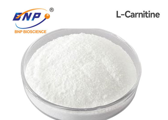 USP Nutraceuticals completa Levocarnitine L polvere della carnitina