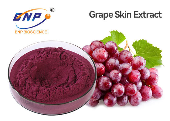 Resveratroli 5% di HPLC della polvere dell'estratto del seme di Vitis vinifera dell'uva rossa