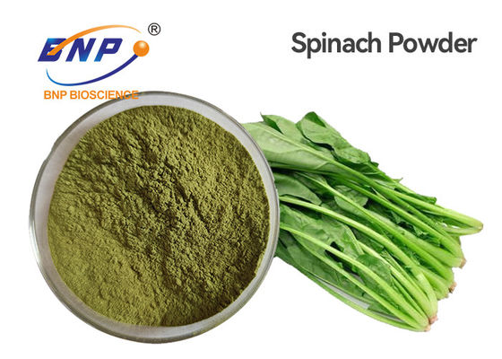Estratto fine verde Juice Powder 80 Mesh High Temperature Sterilization della foglia degli spinaci