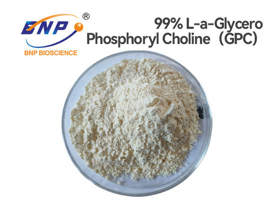 CAS No. 28319-77-9 Alpha Gpc Powder 99% L Alpha Glycerylphosphorylcholine