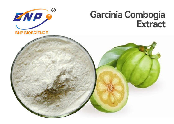 La pianta naturale della polvere fine bianca estrae l'estratto acido della Cambogia di Garcinia di Hydroxycitric 50% 60%