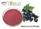 Estratto rosso porpora della frutta di Juice Powder Food Grade Ribes Nigrum del ribes nero