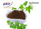10:1 naturale dell'estratto dell'elica di Ivy Leaf Extract Powder Hedera o 10% Hederacoside C
