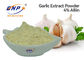 L'estratto inodoro dell'aglio di GMP spolverizza la marca del BNP di 4% Allicin