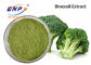 I broccoli organici verde chiaro germogliano la maglia del commestibile della polvere 80