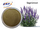 Estratto di Supply Sage Extract Powder Clary Sage del produttore