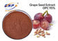 Cura organica marrone-rosso dei cosmetici del polifenolo 95% dell'estratto del seme dell'uva