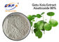 Estratto asiatica di Asiaticoside 80% Centella per pelle Gotu bianco Kola Extract Powder