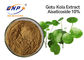 Estratto asiatica di Asiaticoside 80% Centella per pelle Gotu bianco Kola Extract Powder
