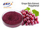 Nigra L. del Sambucus di Vitis vinifera dell'estratto della pelle dell'uva rossa del polifenolo di 20%.