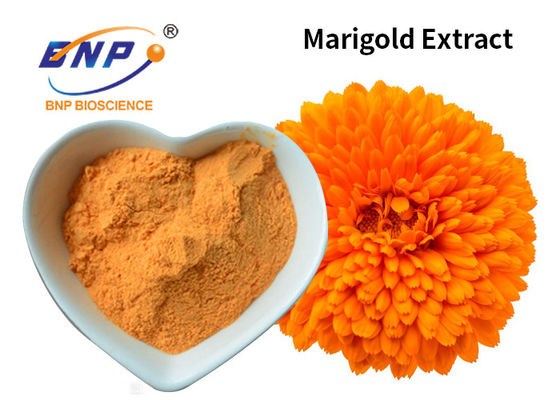 Tagetes gialli Erecta L. dell'additivo alimentare del colorante della luteina della polvere 10%~80% dell'estratto del tagete.