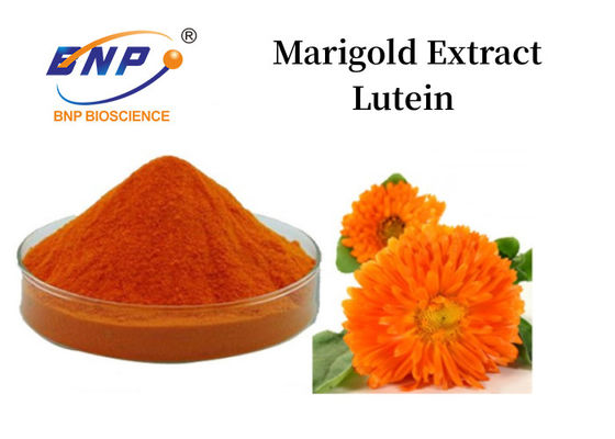 Polvere di luteina dell'estratto di calendula 5% -90% di polvere di giallo arancio